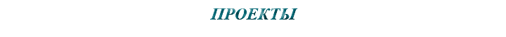 &nbsp;ПРОЕКТЫ