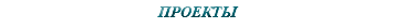 &nbsp;ПРОЕКТЫ